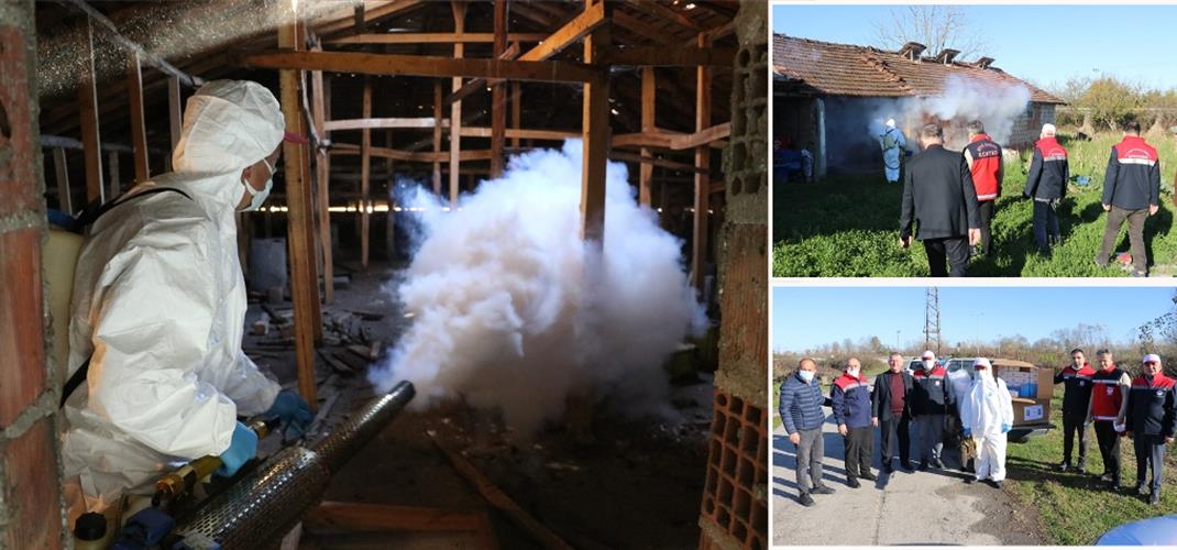 Çarşamba İlçemizde Kahverengi Kokarca Kışlak Mücadelesi Devam Ediyor