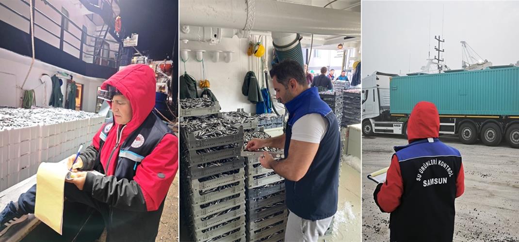 Hamsi Avcılığı Denetimleri Devam Ediyor