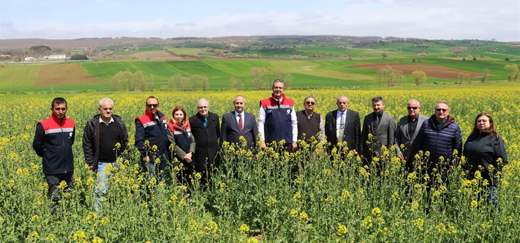 Samsun’da Ayçiçeği ve Kuru Fasulye Tohum Teslimi Yapıldı, Kanola Tarlalarında İnceleme Gerçekleştirildi