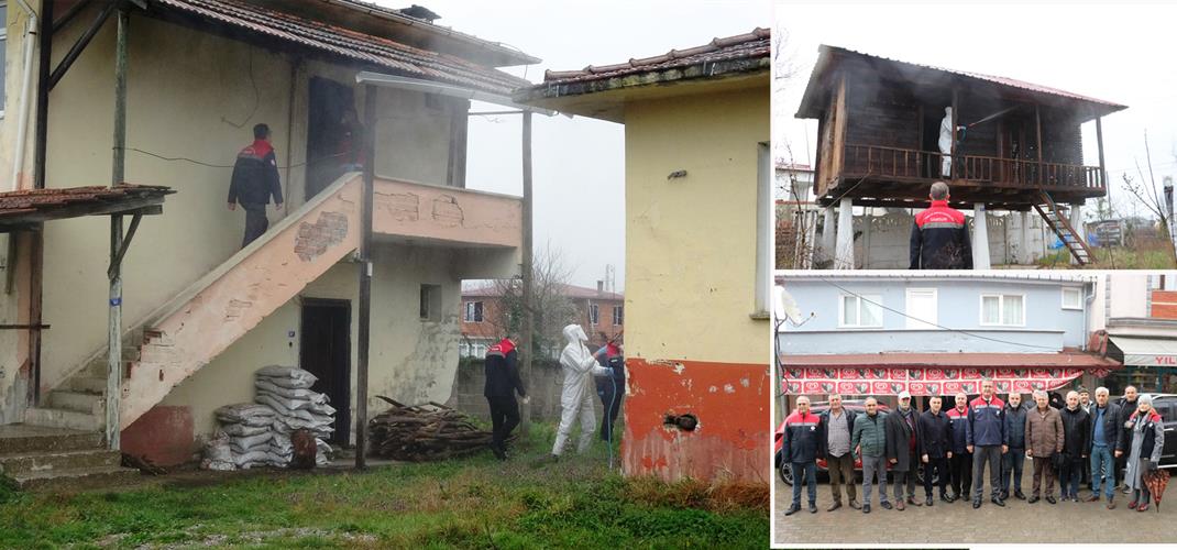 Samsun’da “Kahverengi Kokarca”ya Karşı Kışlak Mücadelesi Sürüyor