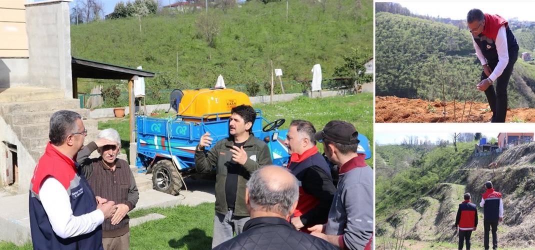 Terme’de Örnek Bahçeler Yerinde İncelendi