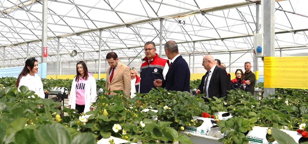 İl Müdürümüz Kemal Yılmaz Bafra Sera OTB’yi İnceledi