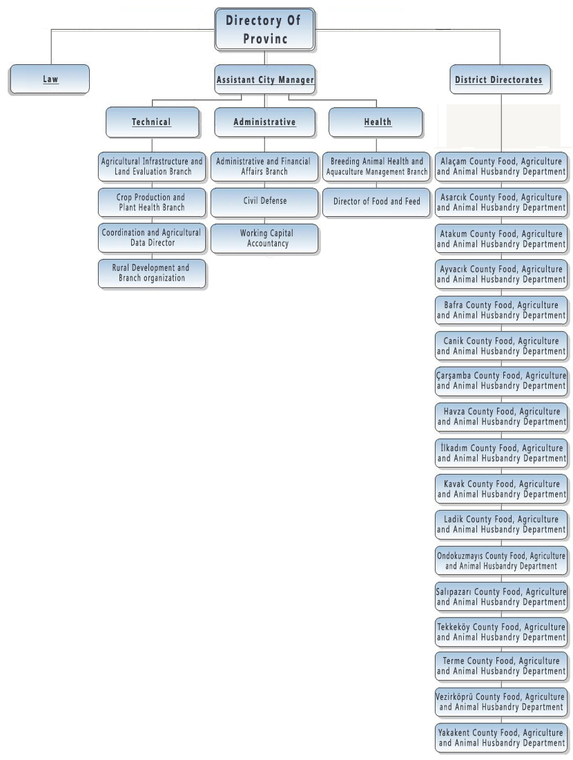 Organizational chart